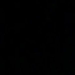 Meet your Posher, Shane